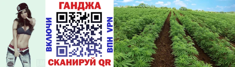 Как найти закладки Саки Кокаин  Alpha-PVP  Бошки Шишки  Меф мяу мяу 