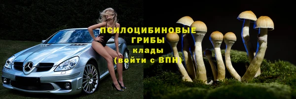 apvp Арсеньев