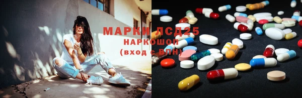 дживик Аркадак