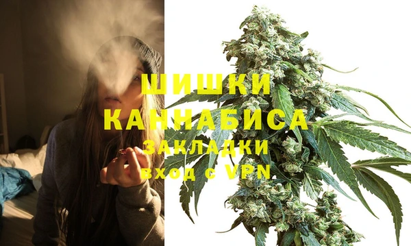 apvp Арсеньев
